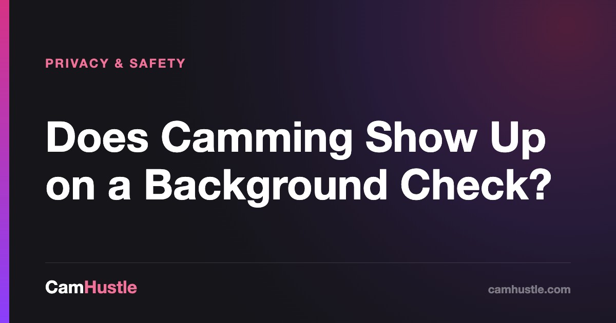 What a standard background check covers
